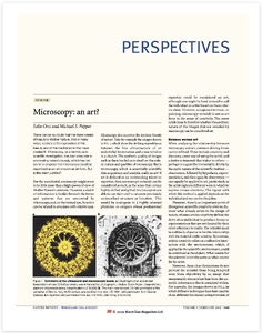 Microscopy: an art?